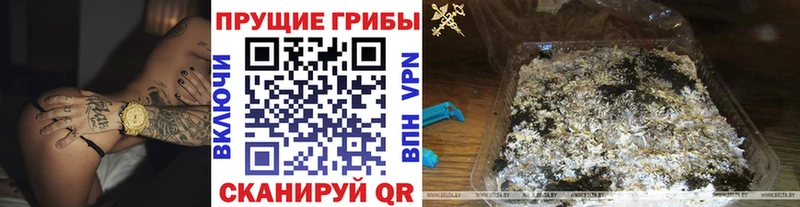 Галлюциногенные грибы Cubensis  Купить закладки  Осташков 