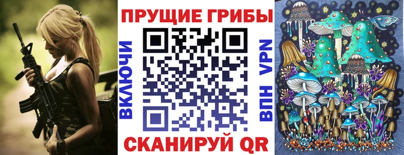 Псилоцибиновые грибы Psilocybine cubensis Осташков